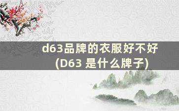 d63品牌的衣服好不好(D63 是什么牌子)